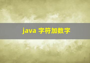 java 字符加数字